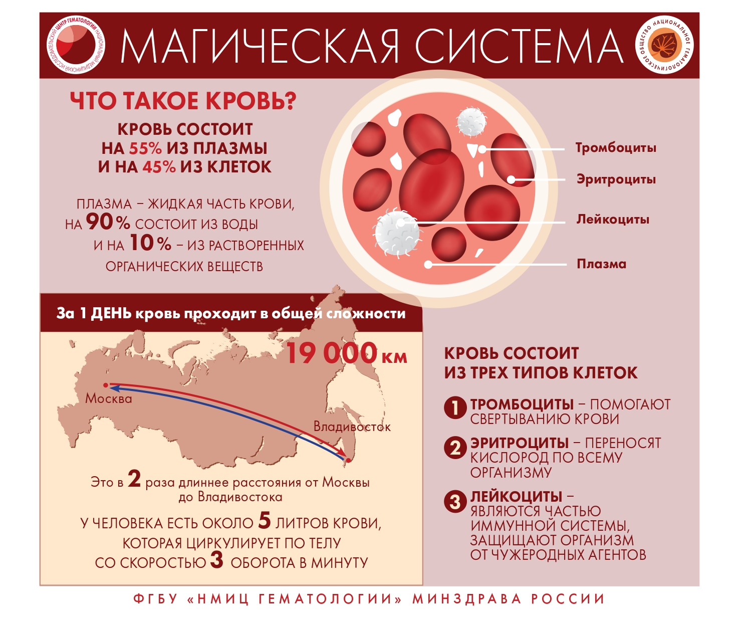 Кузнецкая центральная районная больница - Заболевания крови